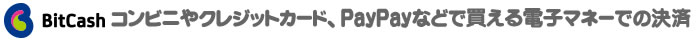BitCash ӥˤ䥯쥸åȥɡPayPayʤɤ㤨Żҥޥ͡Ǥη