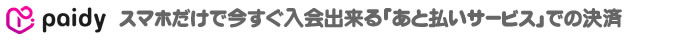 BitCash ����ӥˤ䥯�쥸�åȥ����ɡ�PayPay�ʤɤ��㤨���Żҥޥ͡��Ǥη��